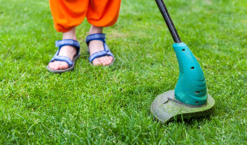 Grass Cutting